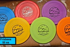 Frisbees